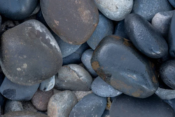 Rocas de playa húmedas de cerca — Foto de Stock