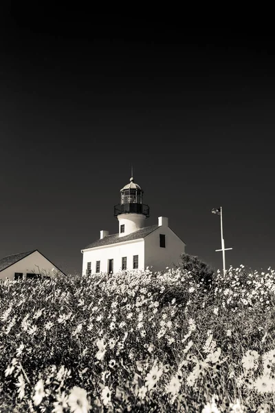 Bahar çiçekleri ile eski noktası Loma deniz feneri — Stok fotoğraf