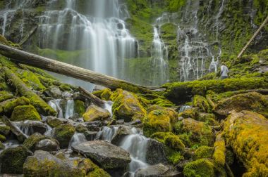 Kadın seyretmek su akan aşağı Proxy Falls