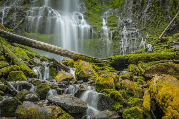 Woman Watches Water Flowing Down Proxy Falls — Stock Photo, Image