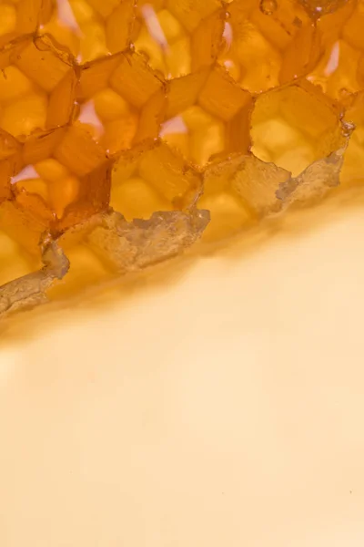 Edge of Honey Comb at Angle — Stock Photo, Image