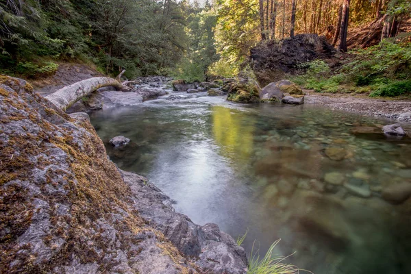 Solen skiner över Brice Creek — Stockfoto