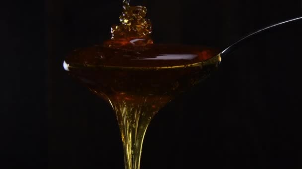 金属のスプーンの上を流れる蜂蜜 — ストック動画