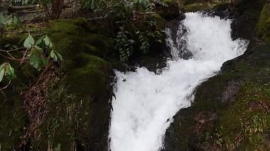 Husky şube Falls alt Cascade