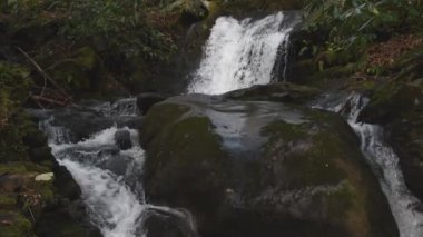 Husky şube Falls üst Cascade