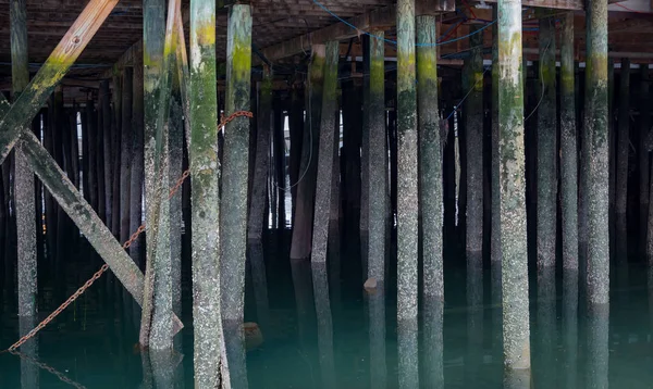 Calma el agua alrededor de los pilones debajo del muelle —  Fotos de Stock