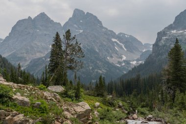 Art arda sıralı Creek Vadisi üzerinde Grand Tetons tezgahı