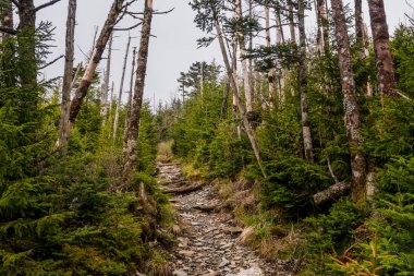 Mount Leconte köye iz