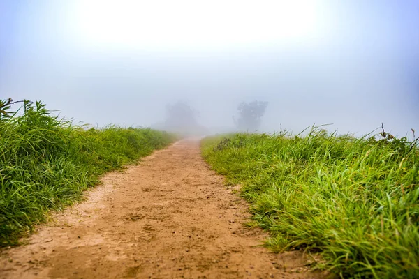 Trail View into the Fog — Stock Photo, Image