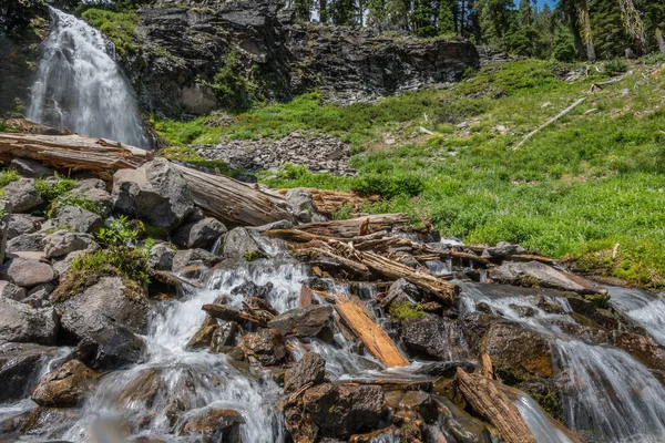 Voda padá přes rozbité staré stromy — Stock fotografie