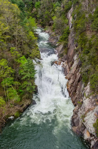 Cataratas de Toccoa — Foto de Stock