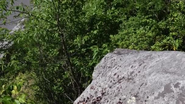 Incline Vazio Linn Cove Viaduto Durante Verão — Vídeo de Stock