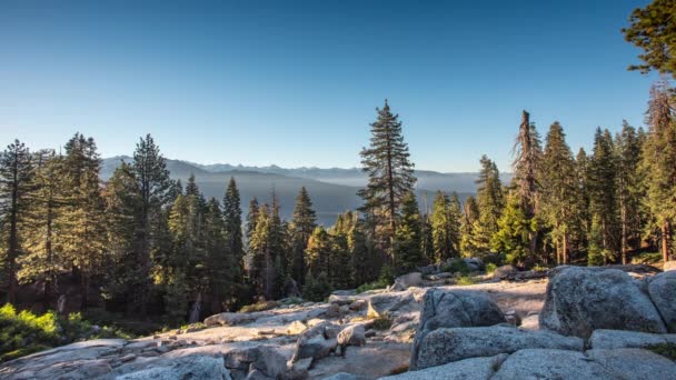 Sequoia Little Baldy Overlooking Light Fog Valley — Stock Video