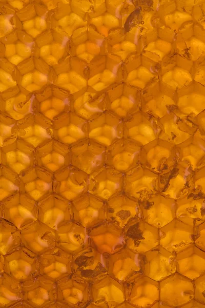 Honey Comb Hex wzór — Zdjęcie stockowe