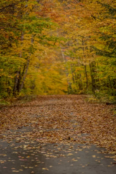 Wąski zakres pasie kraju jesienią — Zdjęcie stockowe