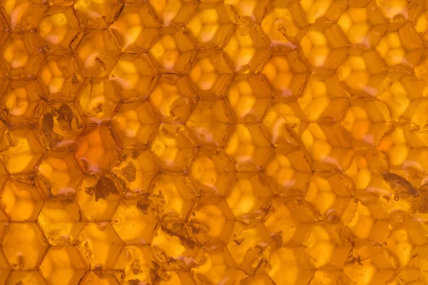 Uncapped Golden Honey — Stock Photo, Image