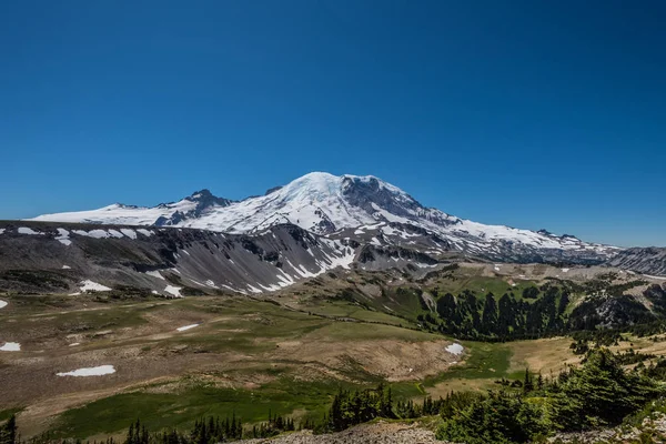 Monte coberto de neve Rainier e prado relvado abaixo — Fotografia de Stock