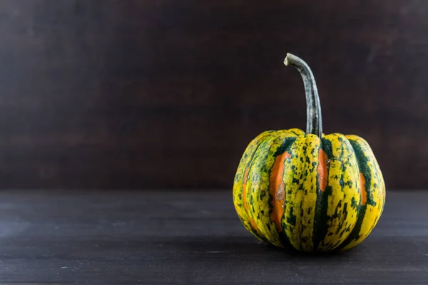 Acorn Squash on Dark Background with Copy Space — Stock Photo, Image