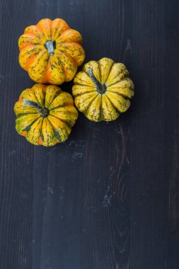 İle kopya alanı aşağıdaki üç meşe palamudu kabak