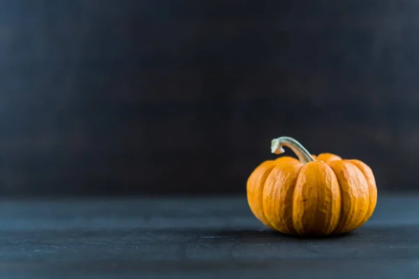 Textura de Jack Be Little Pumpkin no escuro — Fotografia de Stock
