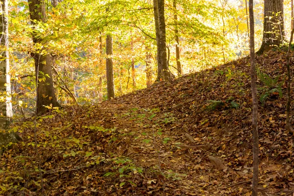 Steep Hiking Trail in Fall — Stok Foto