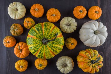 Koyu ahşap arka plan üzerinde renkli kabaklar