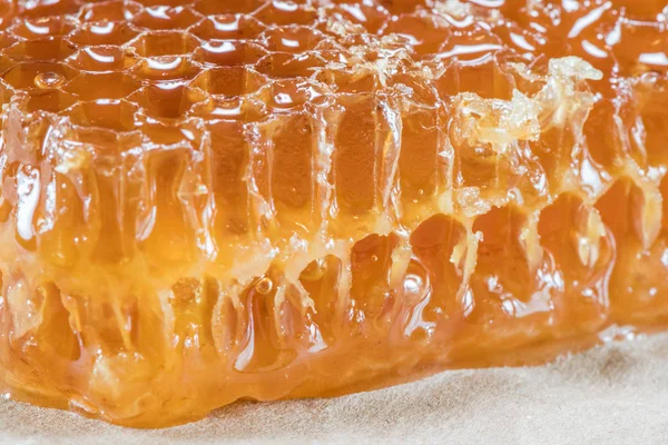 Fechar o bloco de favo de mel — Fotografia de Stock