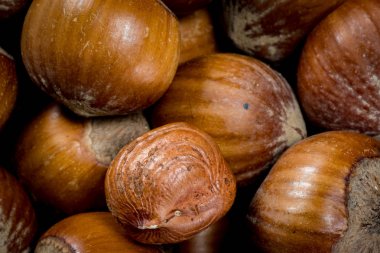 Yığın üstüne tek Kabuklu Fındık