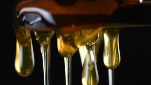 Honey Slowly Drips Wooden Spoon — Stock Video