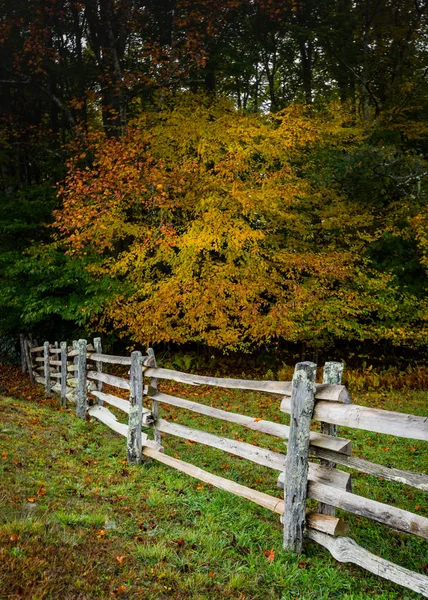 Split Rail Fence in Autumn