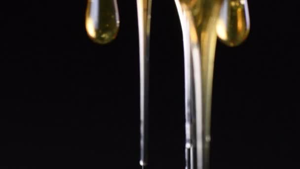 Backlit Strings Globs Honey Fall Black Background — Stock Video