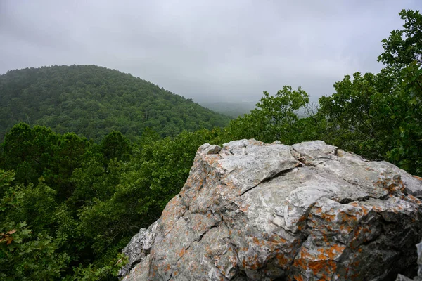 Giant Boulder gluurt boven het bos — Stockfoto