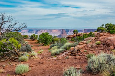 Gökteki Ada 'da Kanyon' un Önündeki Çöl Fırçası