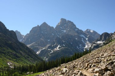 Tetonlar Çam Ağaçları ve Kaya Alanının Üzerine Odaklanıyor