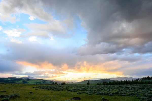 Feld in Yellowstone mit hellem Sonnenlicht in Wolken — Stockfoto
