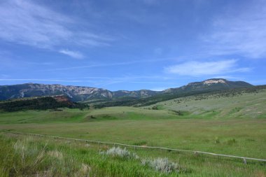 Shoshone Ulusal Ormanında Yuvarlanan Yamaç