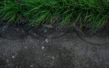 Çimen Patlaması İzde Şablon Yapıyor