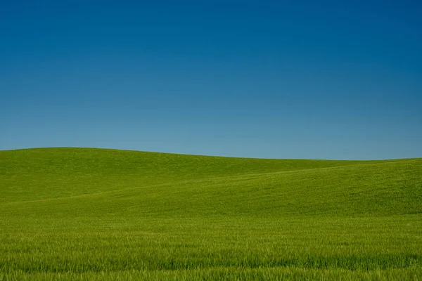 Zbieżne wzgórza trawy — Zdjęcie stockowe