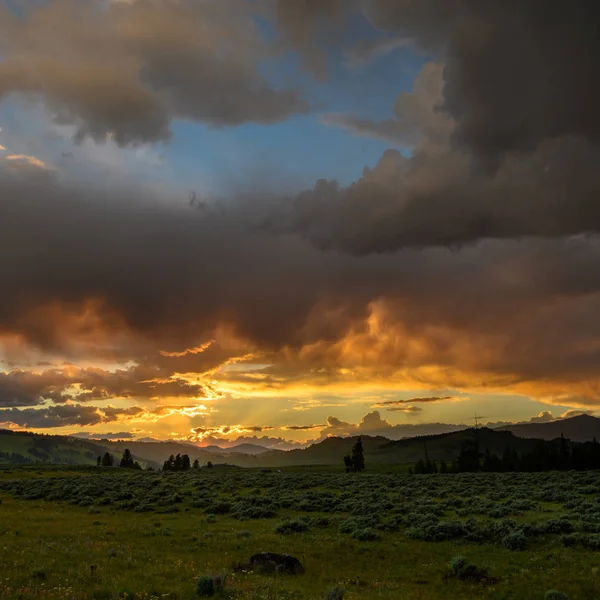 Golden Hour sobre los campos de Yellowstone — Foto de Stock