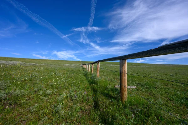 Yeşil Arazide Dikenli Tel ile Düşük Ahşap Çit Açısı — Stok fotoğraf