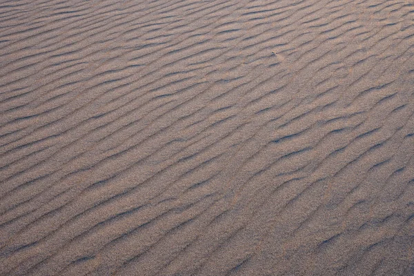 Rippled teksturę piasku — Zdjęcie stockowe