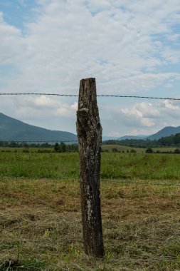 Single Fence Post In Cades Cove