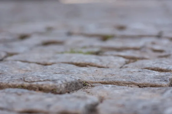 Cobblestone enfoque selectivo — Foto de Stock