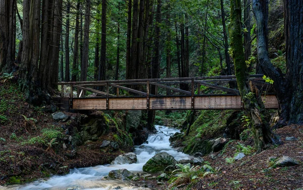 Ponte di legno attraversa Creek nella foresta di sequoie — Foto Stock