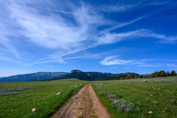 Dirt Road míří do divočiny ve Wyomingu — Stock fotografie