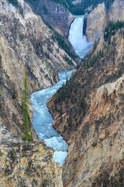 Yellowstone Şelalesi Büyük Kanyon 'da