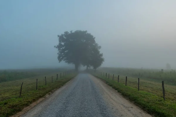 Looking Down A Foggy Hyatt Lane — Stock Photo, Image