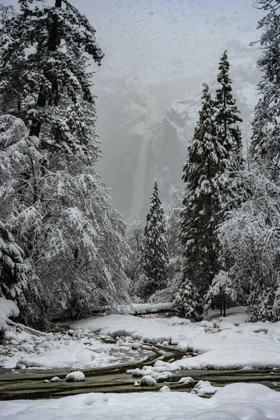 Lower Yosemite Falls em Distância Atrás Floresta de Neve — Fotografia de Stock