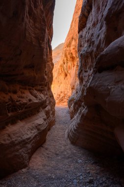 Koyu Gölgelerden Parlak Portakallara Taşıma