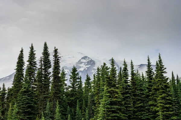 Nevoeiro mal-humorado cobre o topo do Monte Rainier — Fotografia de Stock